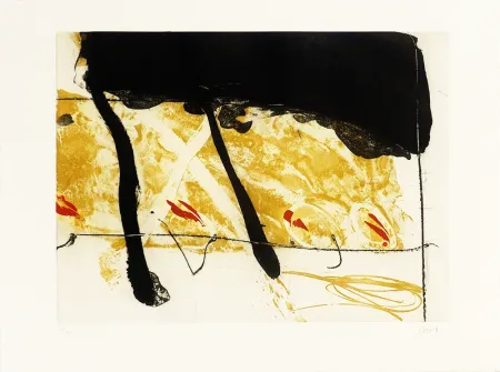 Офорт И Аквитанта Bird - Coach of black  water