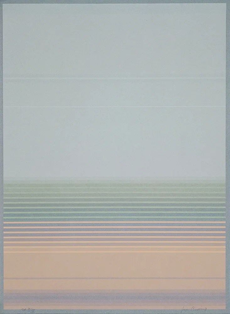 Литография Bird - J.B.I. - 8