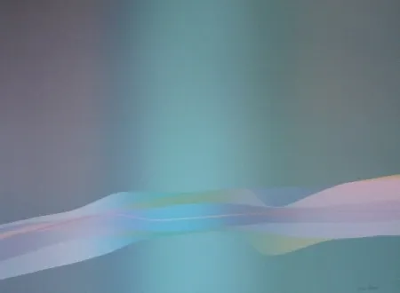 Литография Bird - Spectre lumière 1