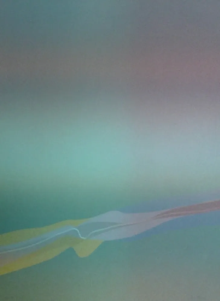 Литография Bird - Spectre lumière 4