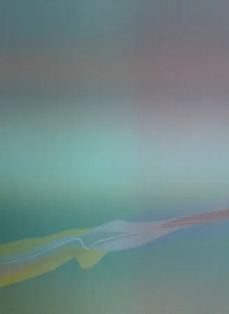 Литография Bird - Spectre lumière 4