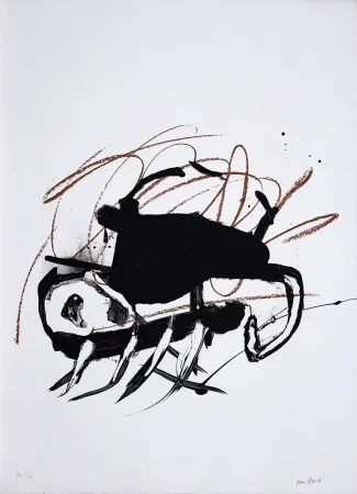 Литография Bird - S/T