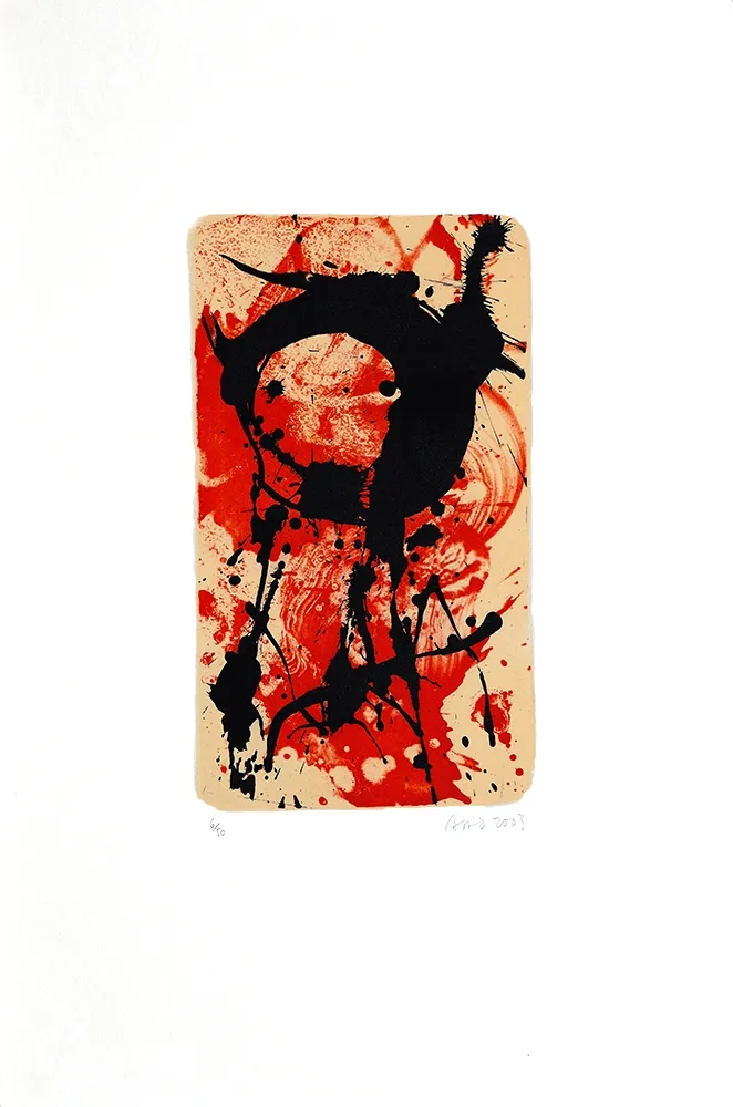 Литография Bird - S/T