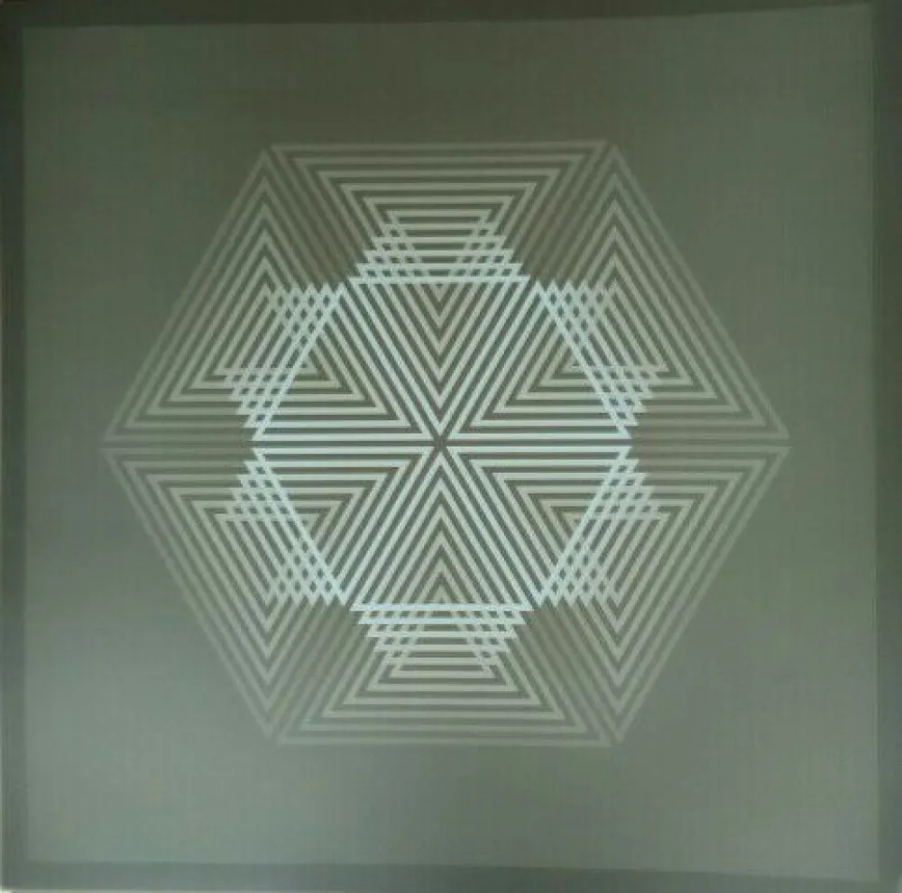 Литография Bird - Tribute to Vasarely 12