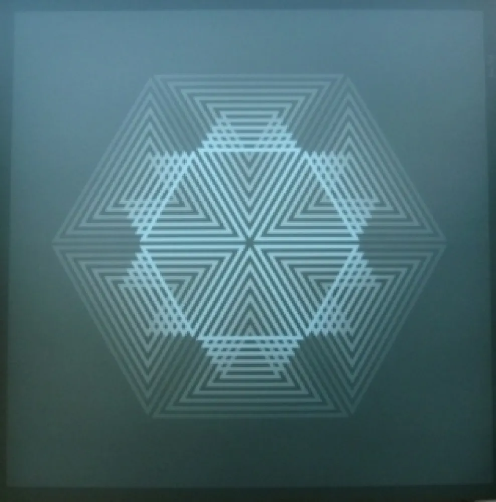 Литография Bird - Tribute to vasarely 12