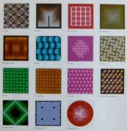 Литография Bird - Vasarely reflections - 15 lithographs