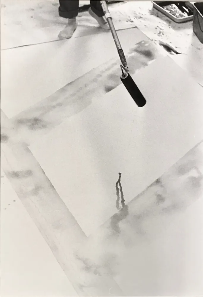 Фотографии Blum - Sam Francis