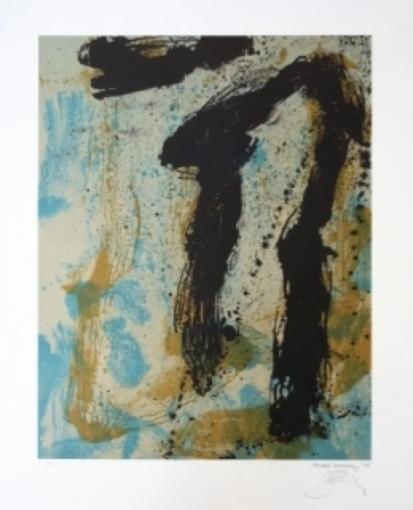 Литография Bohary - Water fall river