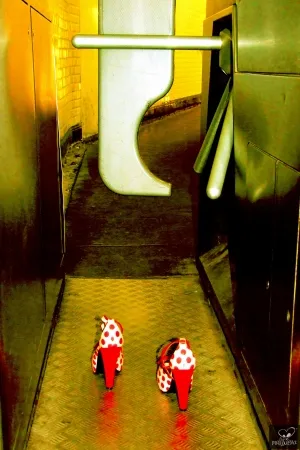 Фотографии Bohorquez - Exit