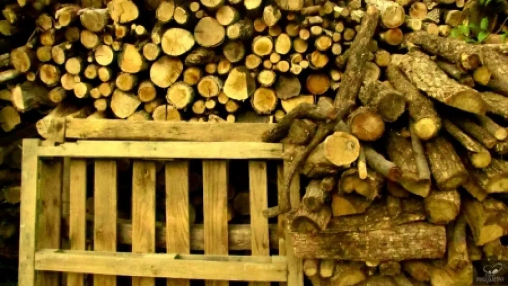 Фотографии Bohorquez - Palos de Moguer