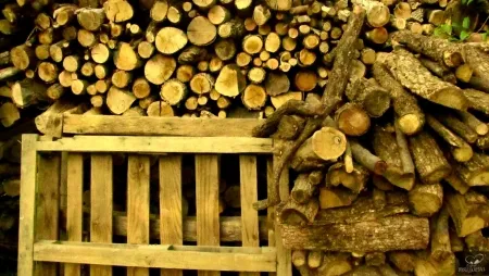 Фотографии Bohorquez - Palos de Moguer