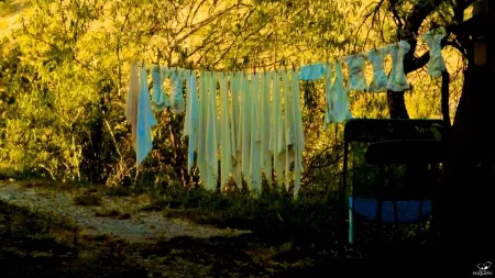 Фотографии Bohorquez - Sueños colgados