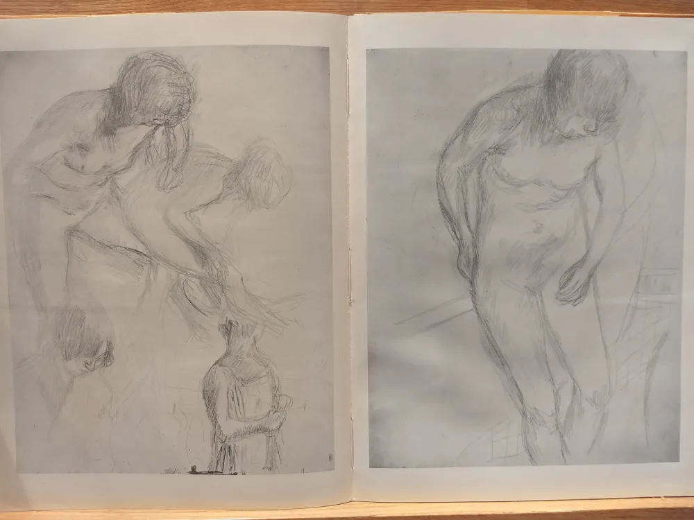 Иллюстрированная Книга Bonnard - Couleur De Bonnard