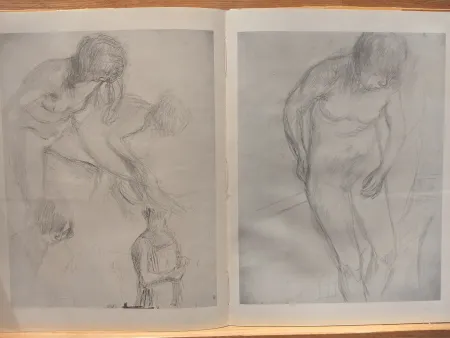 Иллюстрированная Книга Bonnard - Couleur De Bonnard