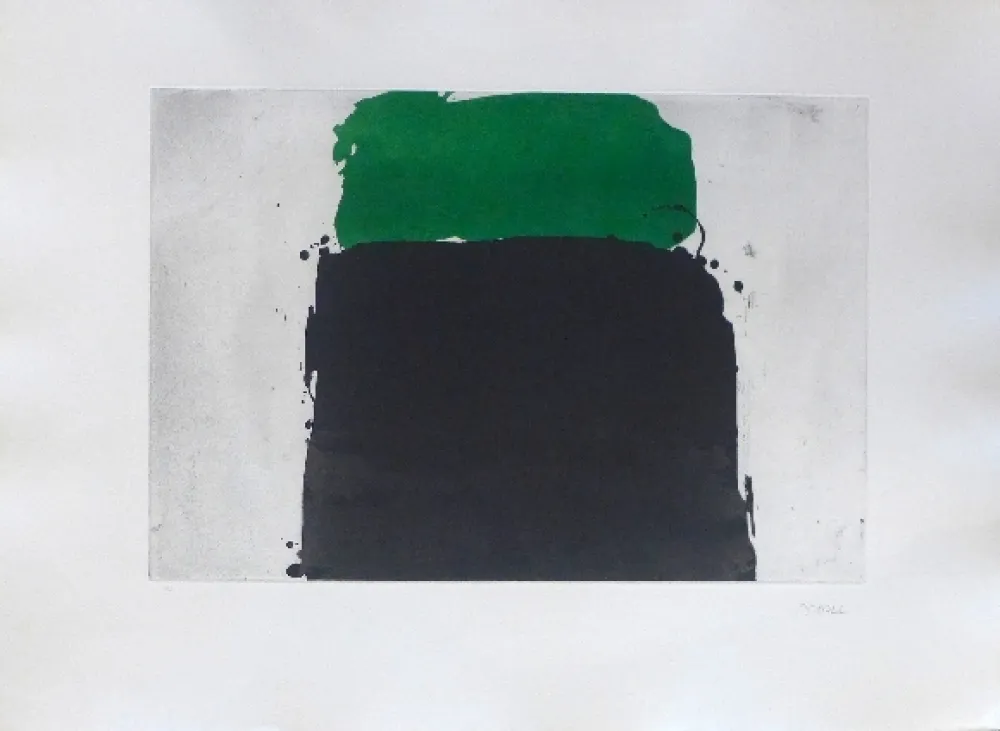 Гравюра Borrell Palazón - Espais 2