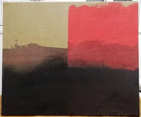 Нет Никаких Технических Borrell Palazón - Estructura rosa sobre negre