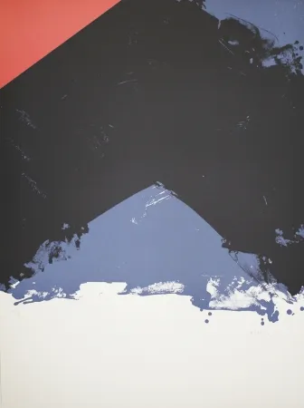 Литография Borrell Palazón - Untitled