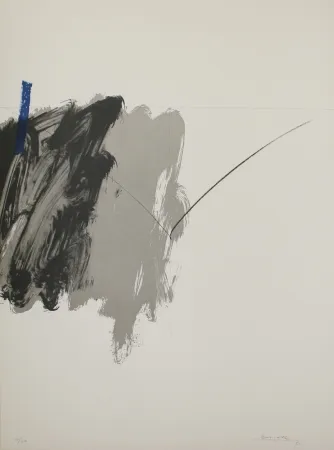 Литография Borrell Palazón - Untitled