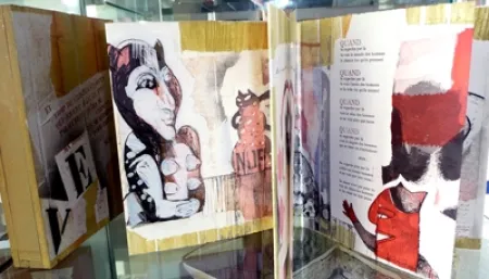 Иллюстрированная Книга Botti  - Des chats dites-vous ?