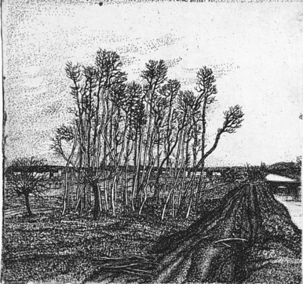 Офорт Bozzetti - Il boschetto lungo l'argine (II versione)