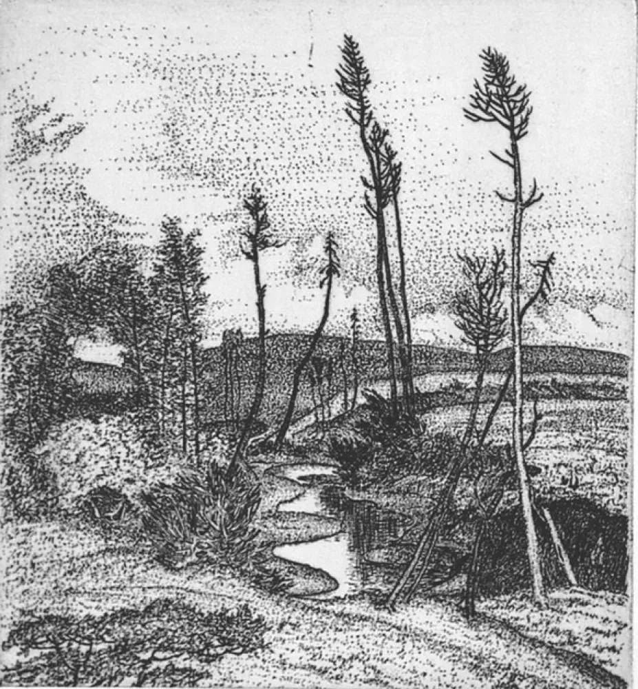 Офорт Bozzetti - Il torrente