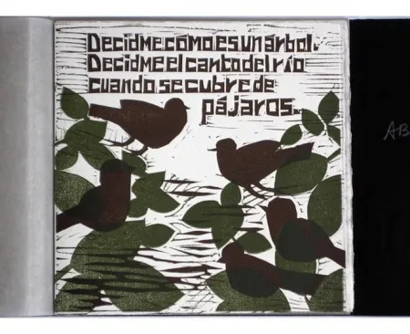 Иллюстрированная Книга Brancaforte - Decidme cómo es un árbol