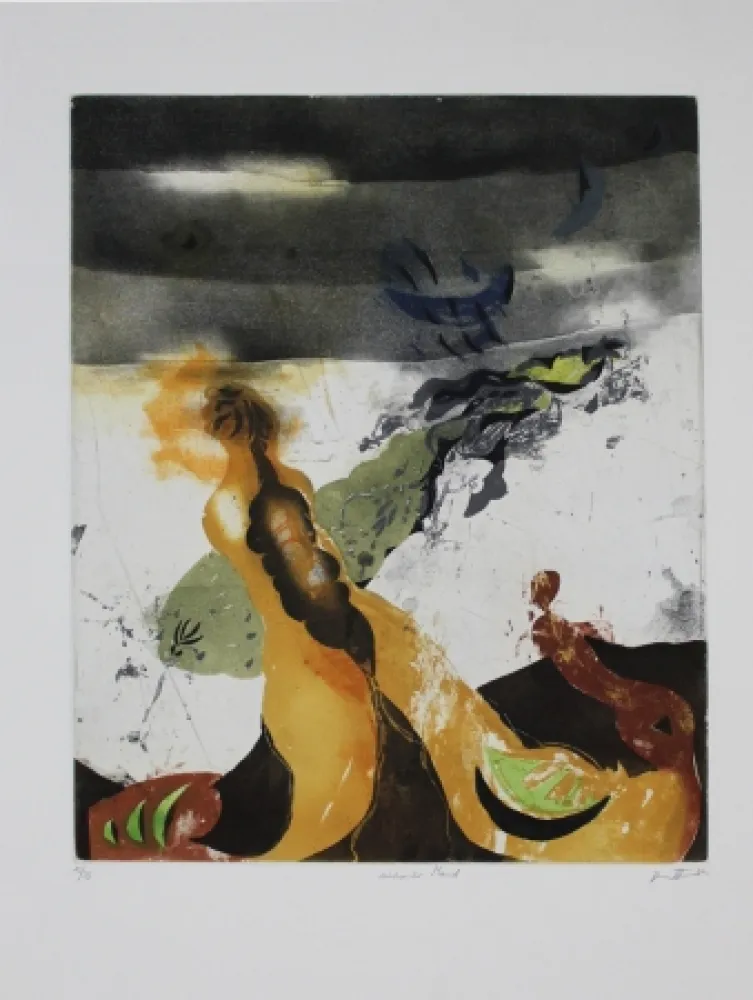 Офорт И Аквитанта Brandstätter - Sinkender Mond / Sinking World