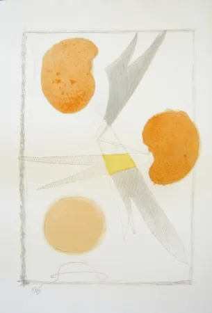 Литография Braque - Tirée de La liberté des mers