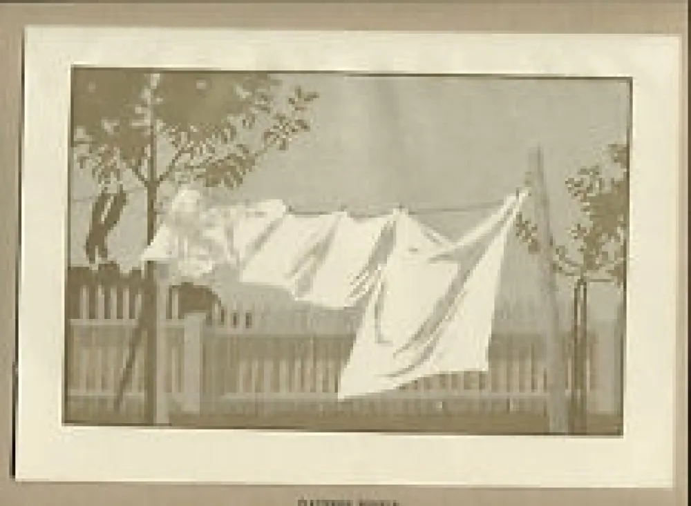 Гравюра На Дереве Braumüller-Havermann - Flatternde Windeln