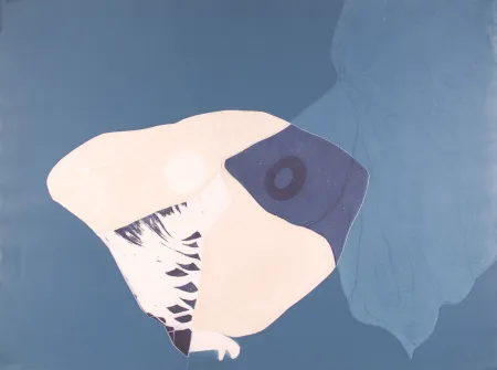 Офорт Brillant - La Chouette