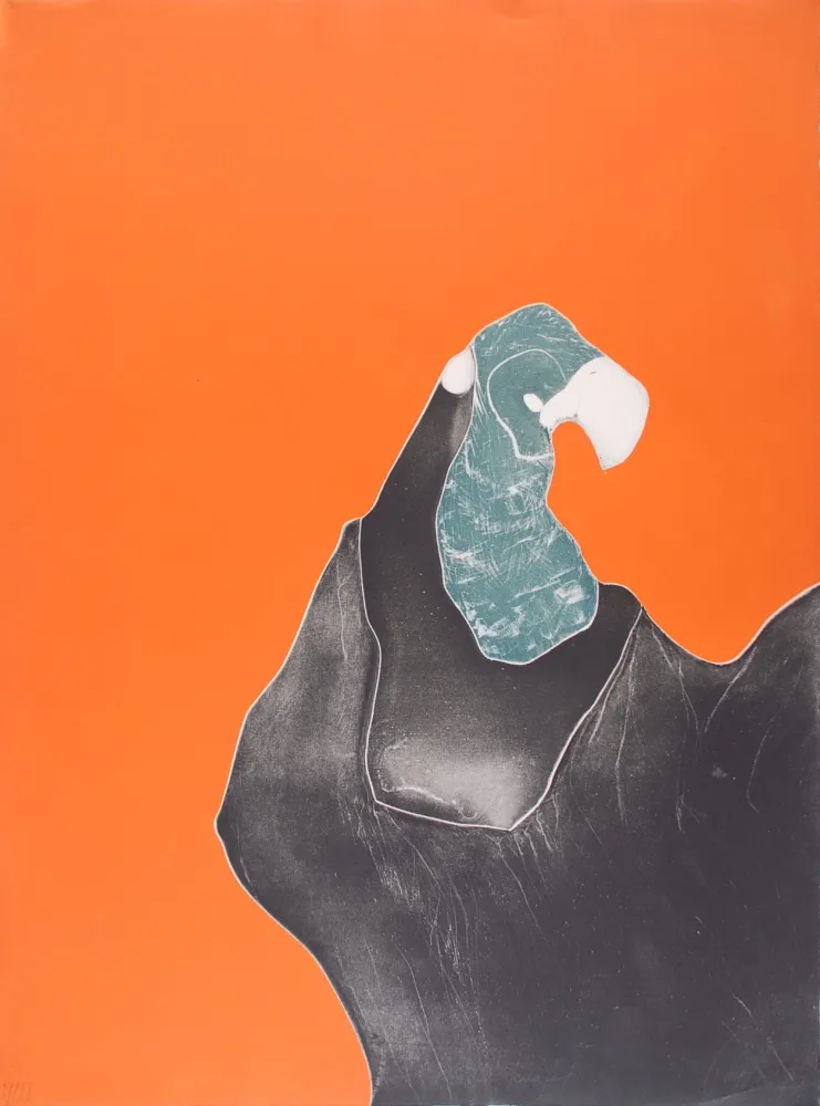 Офорт Brillant - Le Rocher Perroquet