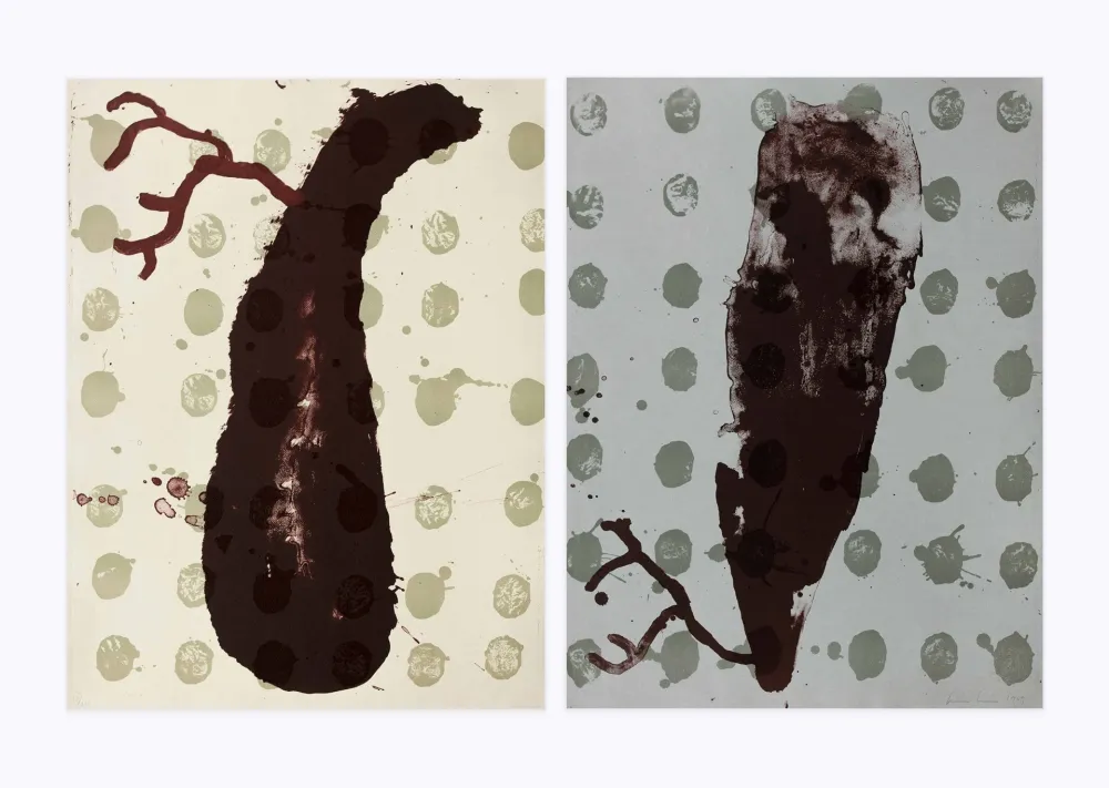 Литография Brown - Two cells diptyque