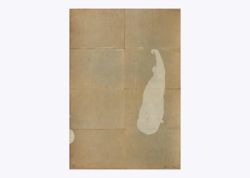 Литография Brown - White salt 