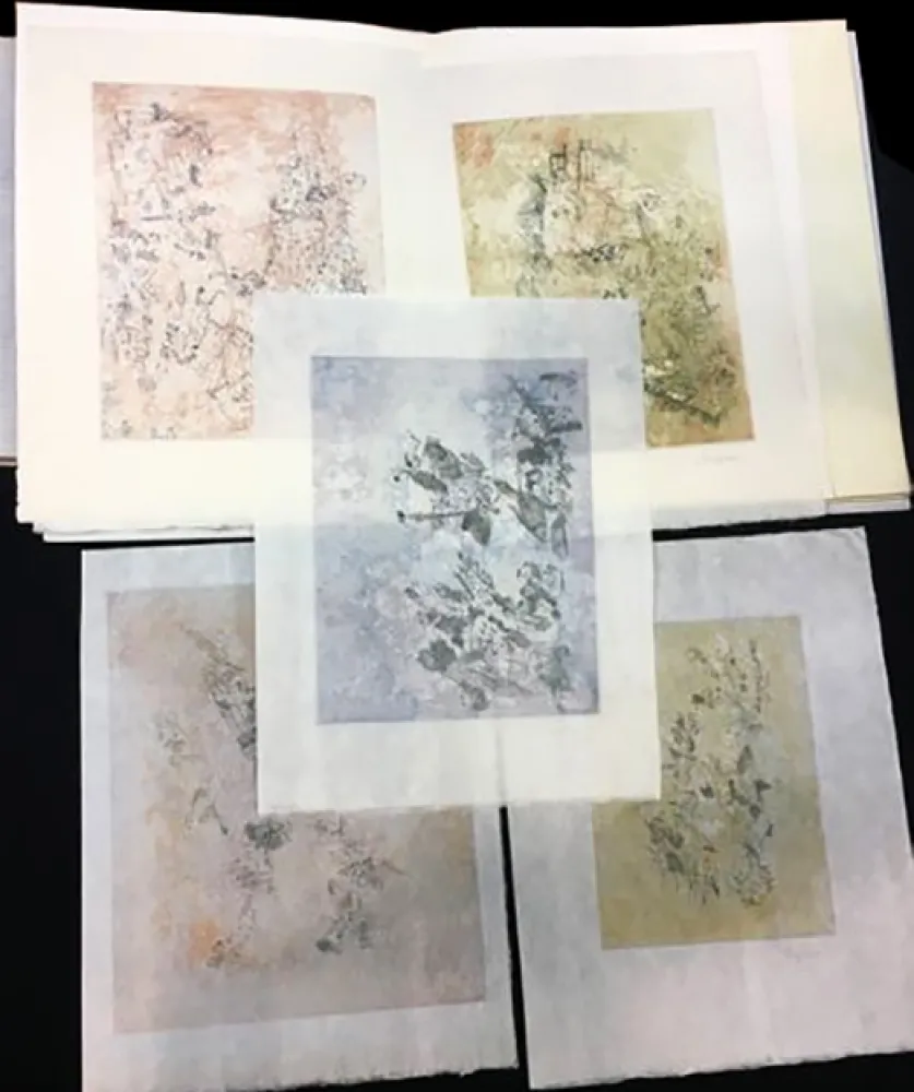 Иллюстрированная Книга Bryen - Tristan Tzara. VIGIES. 5 eaux-fortes originales (1962).