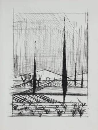 Гравюра Сухой Иглой Buffet - Naples, ca