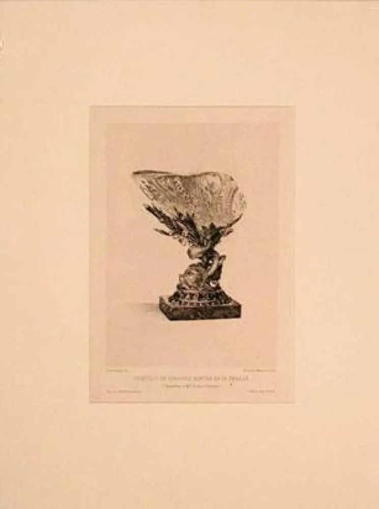 Гравюра Buhot - Coquille de girasole