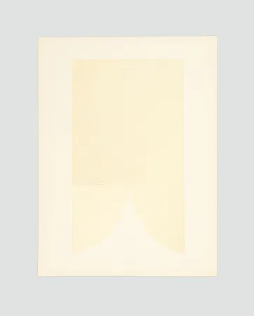 Литография Burri - Bianchi e neri II-A