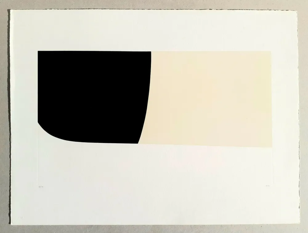 Литография Burri - Bianchi e neri II