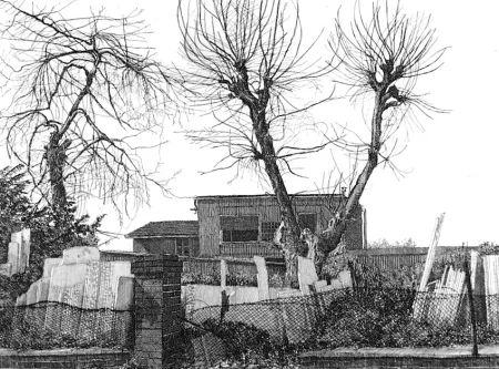 Офорт Cacciarini - Alberi