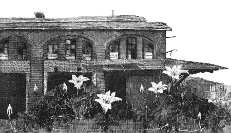 Офорт Cacciarini - Il giardino della fabbrica