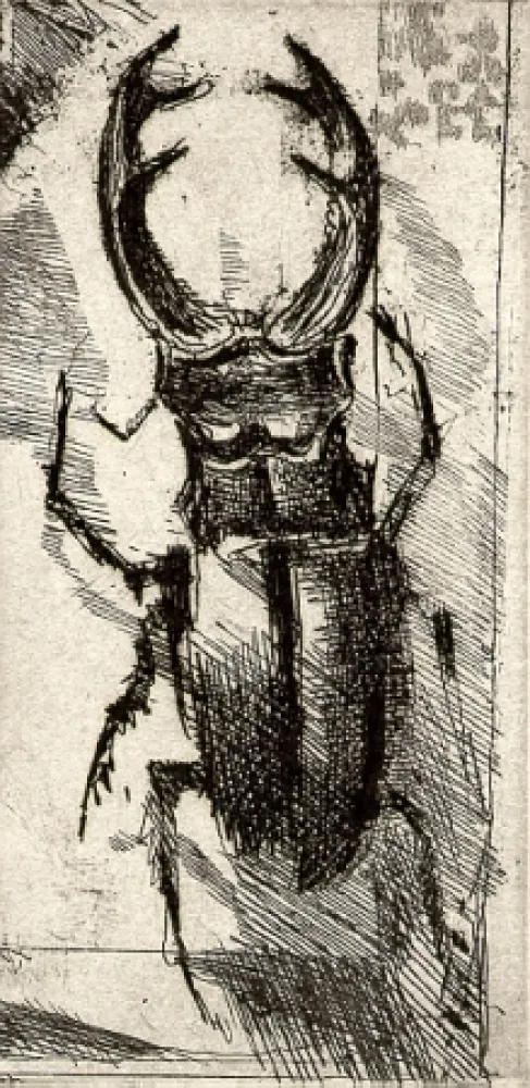 Иллюстрированная Книга Calandri - Ballades et Rondeaux du Testament Villon