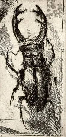 Иллюстрированная Книга Calandri - Ballades et Rondeaux du Testament Villon