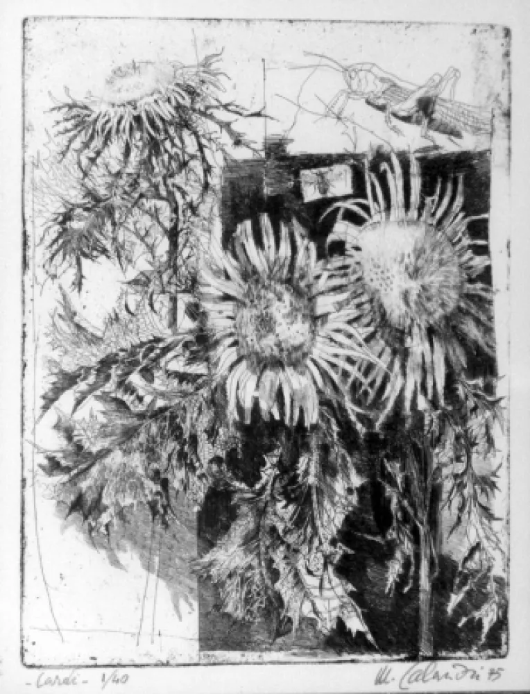 Офорт Calandri - Cardi