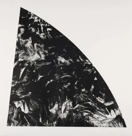 Литография Calder - Baie Rouge