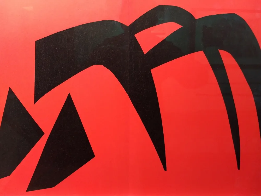 Иллюстрированная Книга Calder - DLM 113