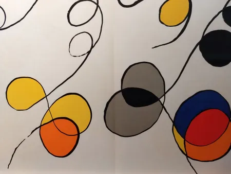 Иллюстрированная Книга Calder - DLM 173