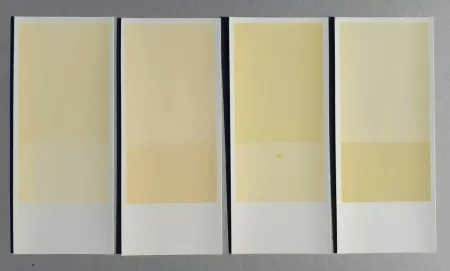 Литография Calderara - Misura, luce, colore