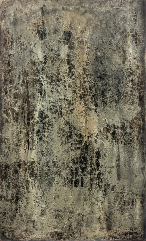 Нет Никаких Технических Campesan - BASSAMAREA