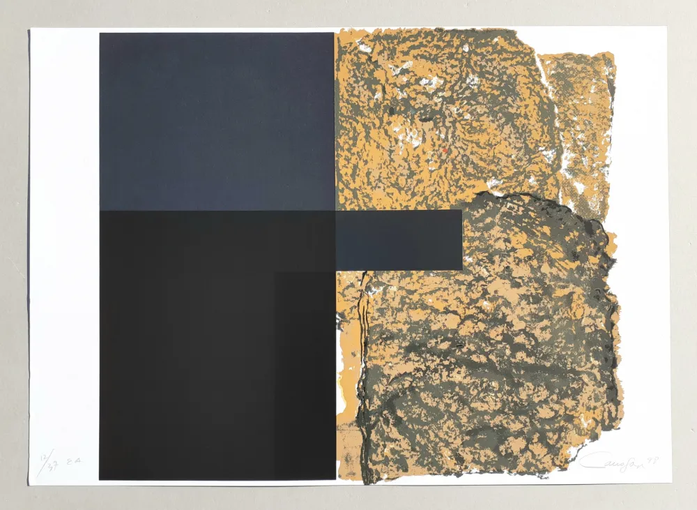 Сериграфия Canogar - Composizione