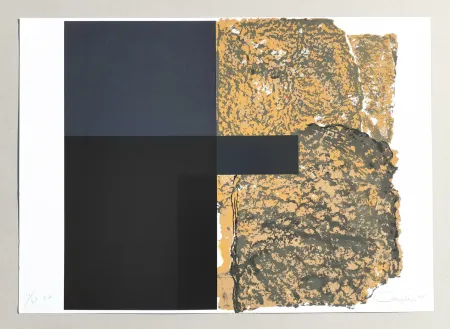 Сериграфия Canogar - Composizione